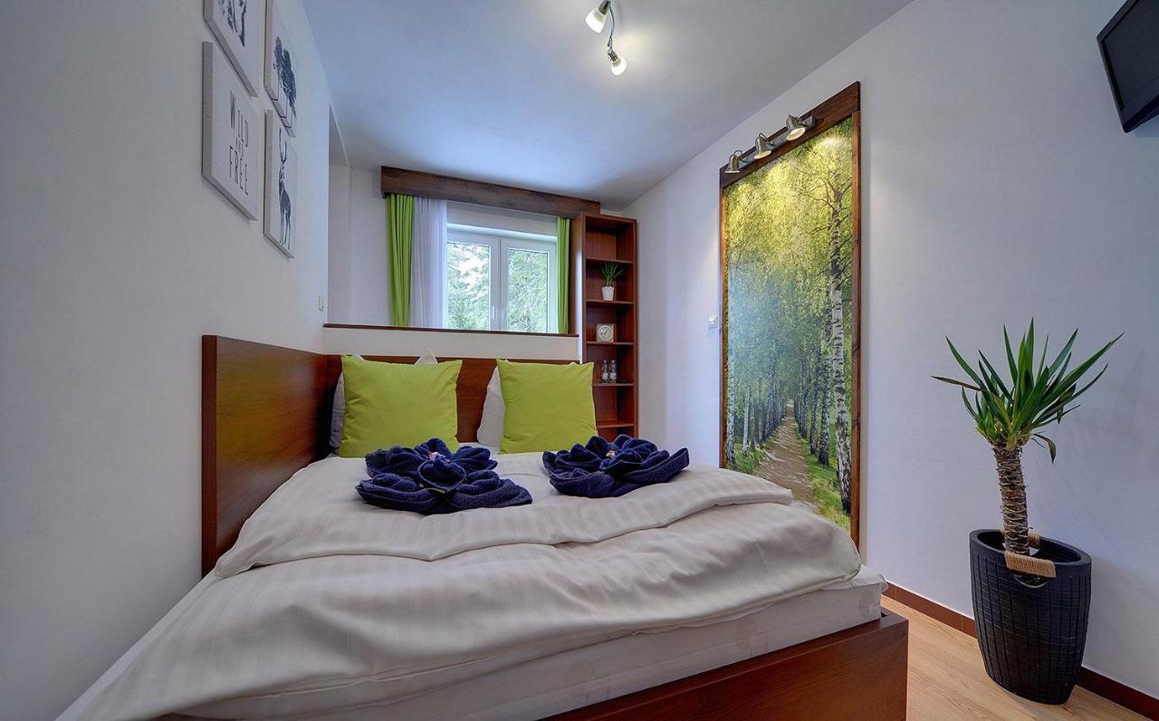 カルパッチ Safir Przy Samym Wyciagu Bed & Breakfast エクステリア 写真