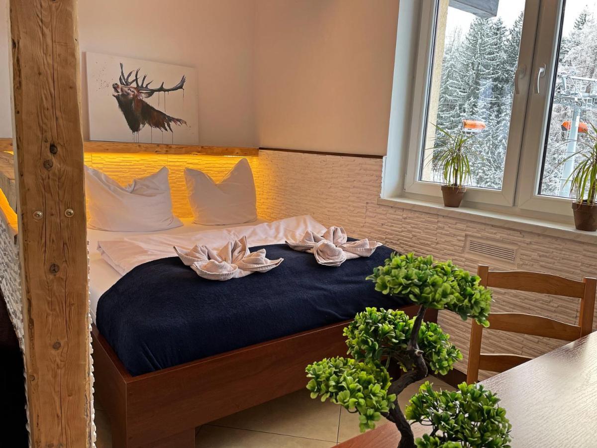 カルパッチ Safir Przy Samym Wyciagu Bed & Breakfast エクステリア 写真