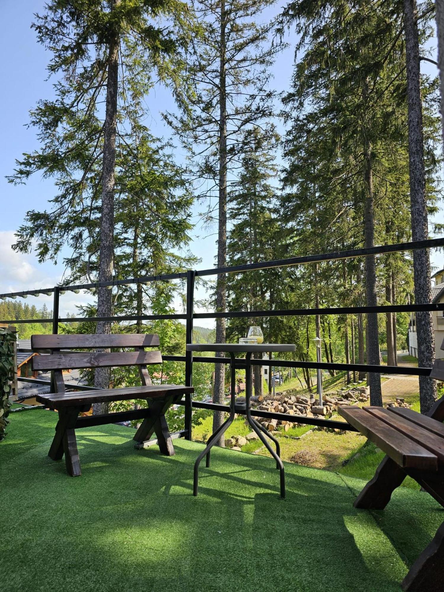 カルパッチ Safir Przy Samym Wyciagu Bed & Breakfast エクステリア 写真