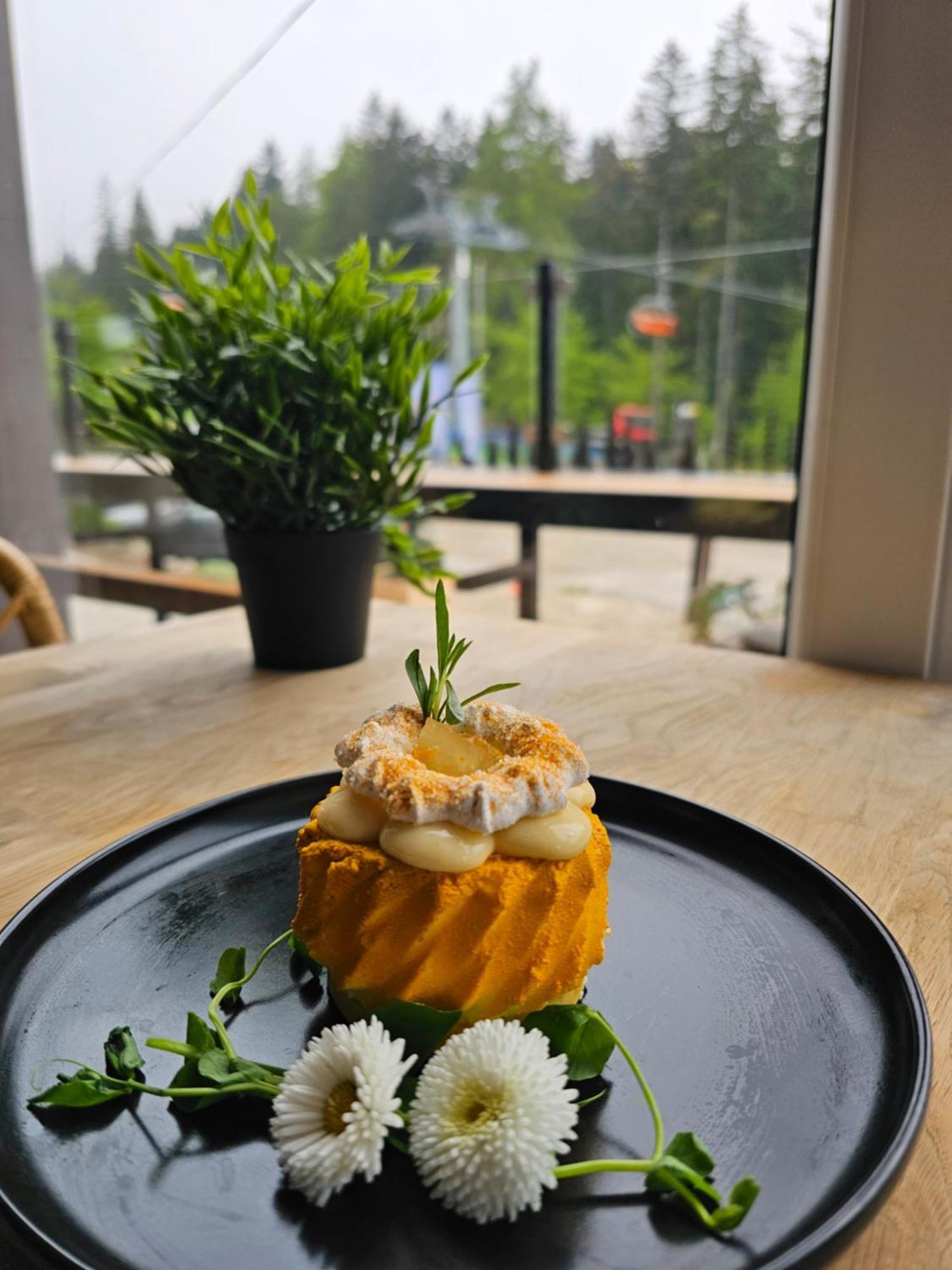 カルパッチ Safir Przy Samym Wyciagu Bed & Breakfast エクステリア 写真