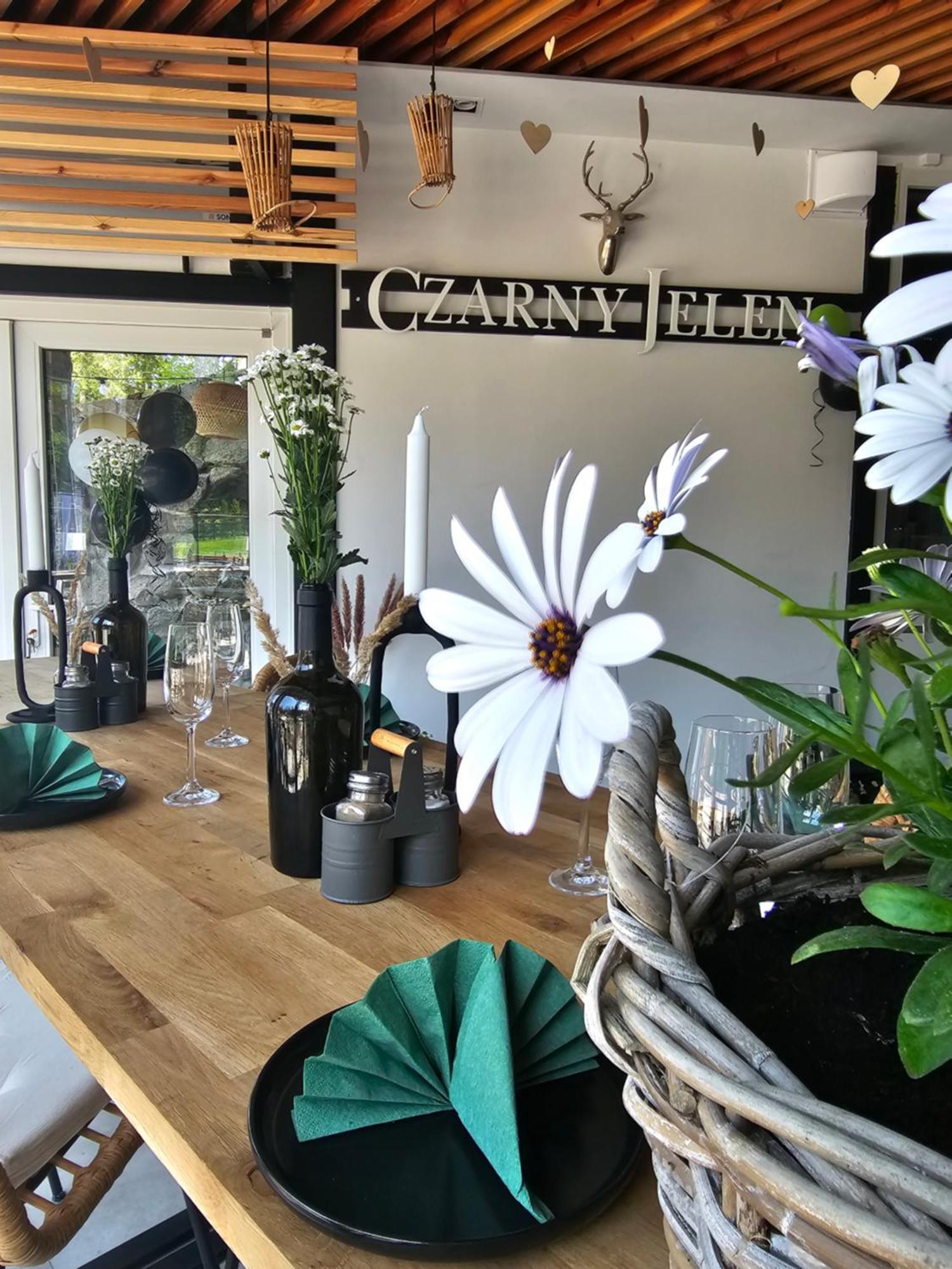 カルパッチ Safir Przy Samym Wyciagu Bed & Breakfast エクステリア 写真