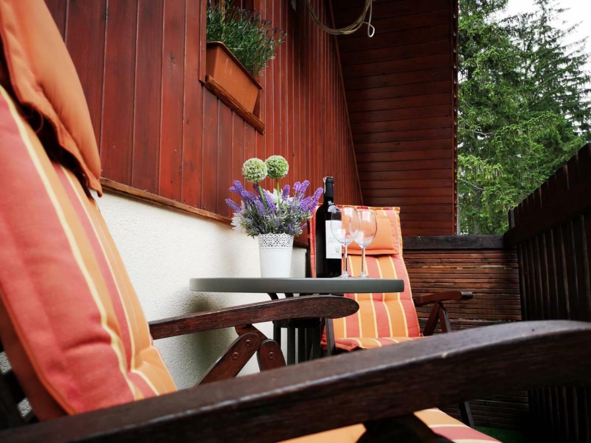 カルパッチ Safir Przy Samym Wyciagu Bed & Breakfast エクステリア 写真
