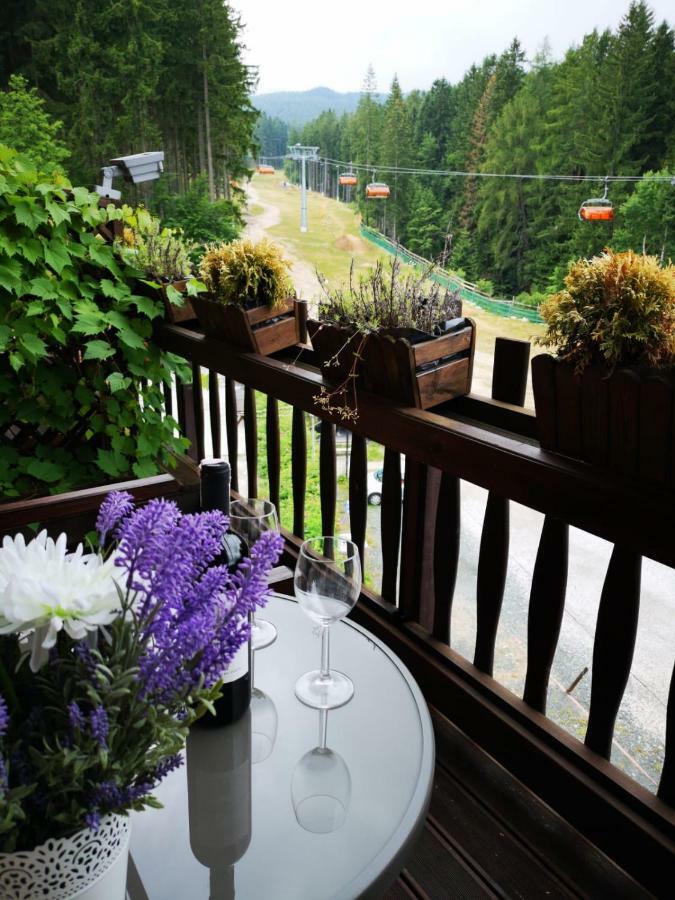 カルパッチ Safir Przy Samym Wyciagu Bed & Breakfast エクステリア 写真