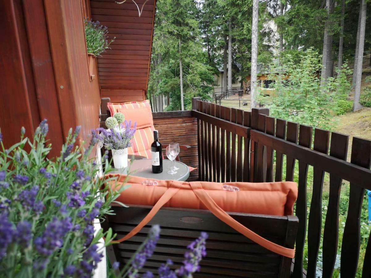 カルパッチ Safir Przy Samym Wyciagu Bed & Breakfast エクステリア 写真