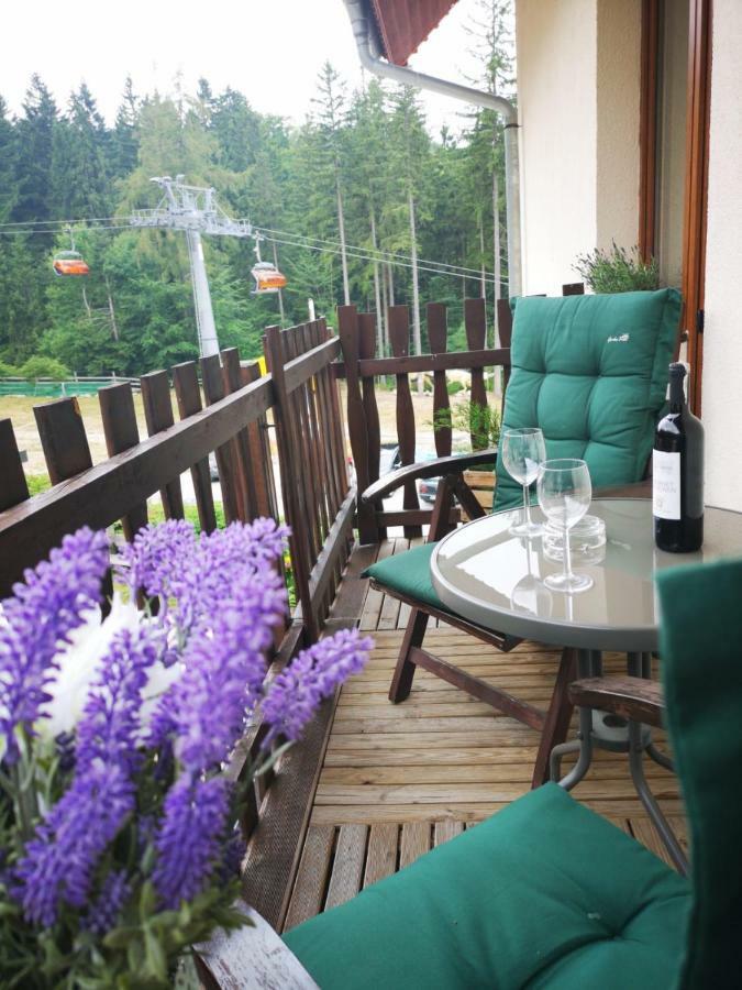 カルパッチ Safir Przy Samym Wyciagu Bed & Breakfast エクステリア 写真