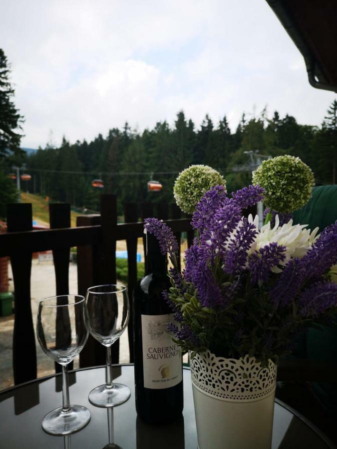 カルパッチ Safir Przy Samym Wyciagu Bed & Breakfast エクステリア 写真