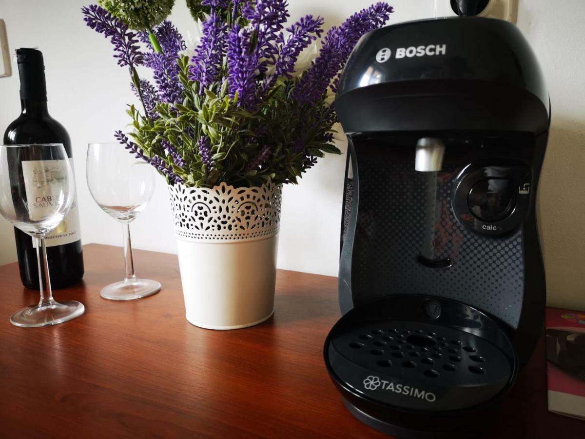カルパッチ Safir Przy Samym Wyciagu Bed & Breakfast エクステリア 写真